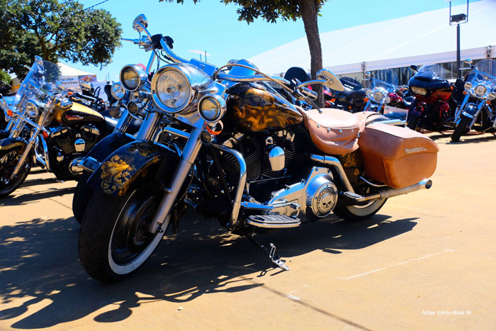 DSCF4391.jpg