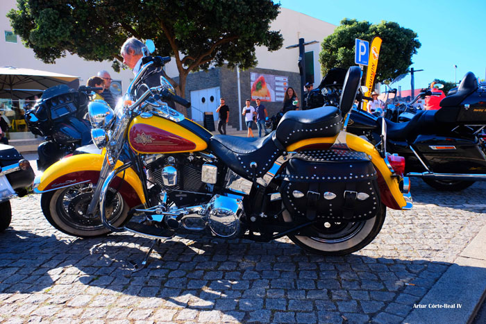 DSCF4478.jpg