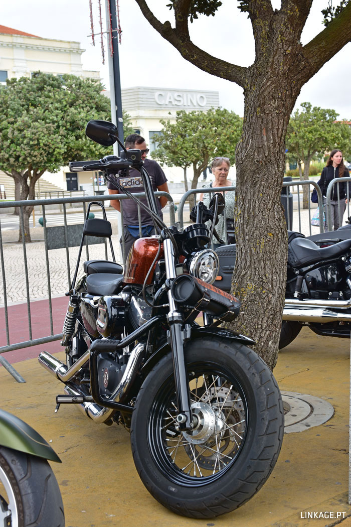 DSC_0018.jpg