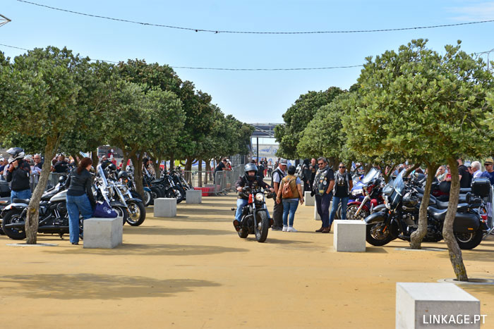 DSC_0035.jpg
