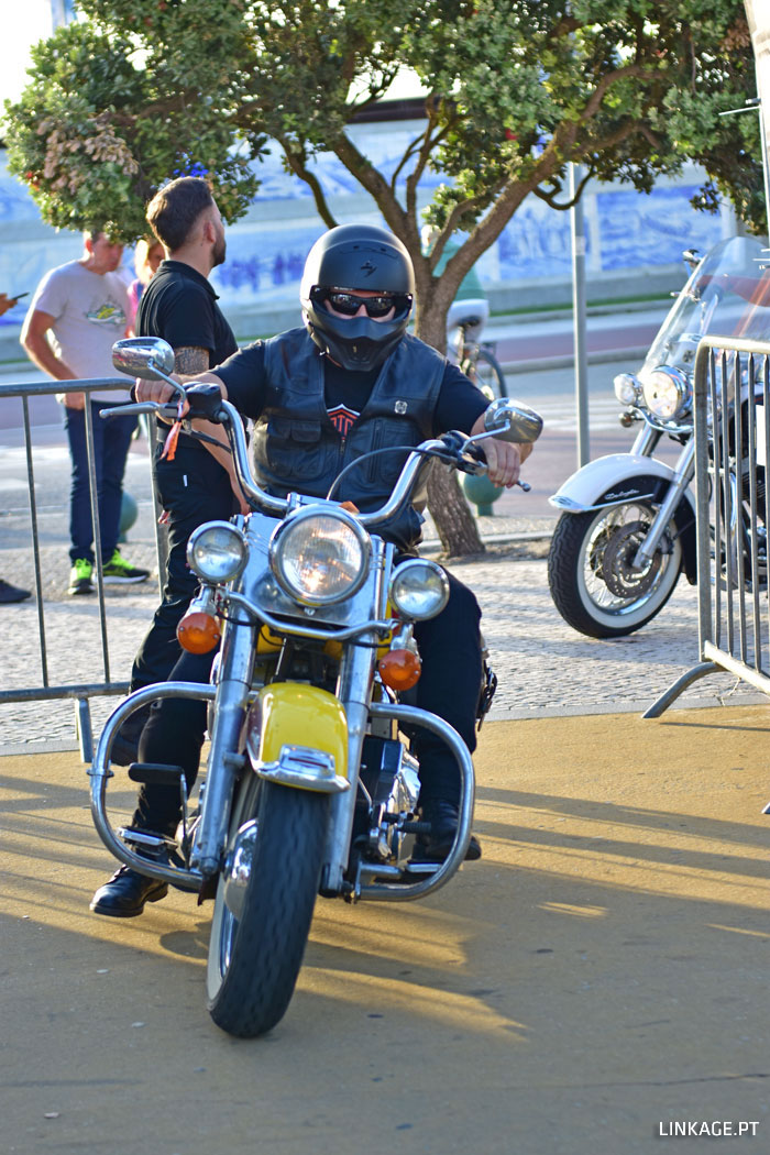 DSC_0111.jpg