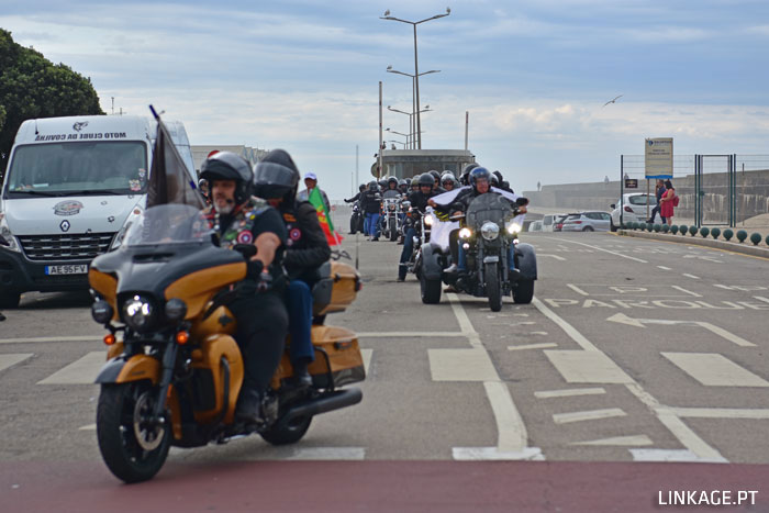 DSC_0264.jpg