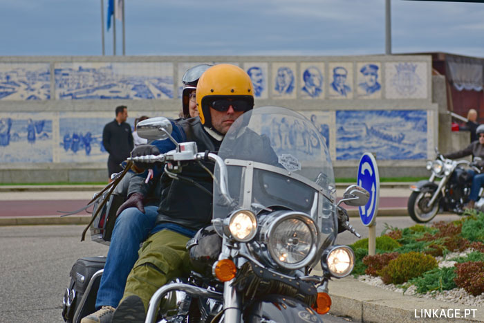 DSC_0307.jpg