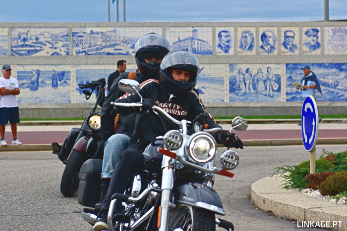 DSC_0312.jpg