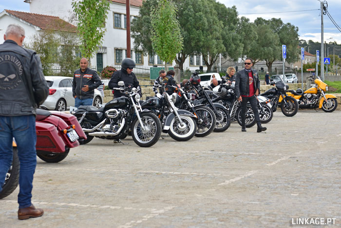 DSC_0394.jpg