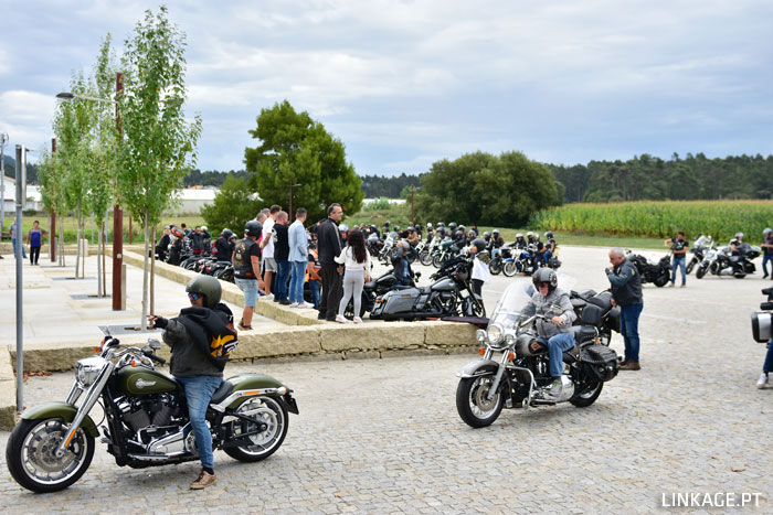 DSC_0425.jpg